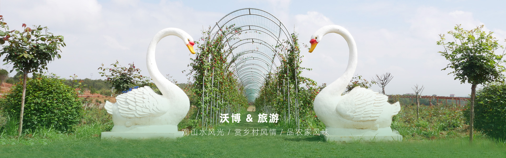 鮮果采摘都有江西沃博吳茱萸、江西沃博花海、江西沃博蔓荊子、江西沃博金銀花等品種，同時也是一家江西婚紗攝影旅拍基地和江西花海打卡基地，可以提供紫薇花花海造型服務，花花世界看沃博花海，相信我們這里不會讓大家失望的